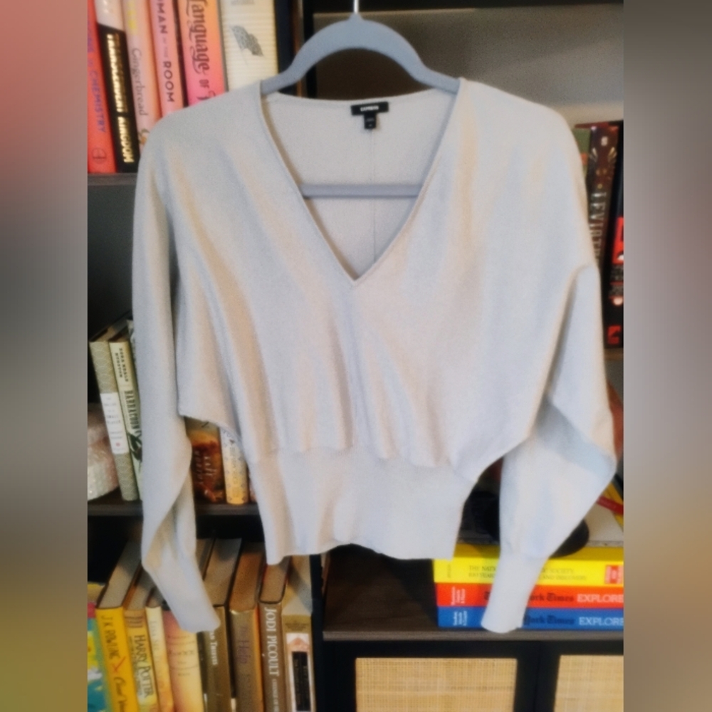Silver Gathered Waist Express V Neck Sweater